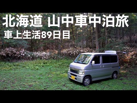 car camping in a forest in Hokkaido