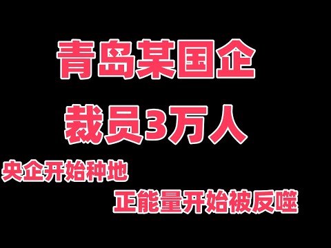 青岛某国企年底裁员3万人，央企开始回农村种地，正能量的伪光正已遭到反噬