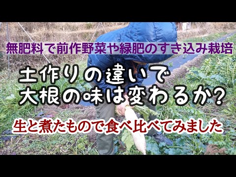 土の育て方によって大根の味はどう違うか？