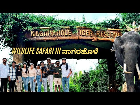 Wildlife safari in ನಾಗರಹೊಳೆ 🐅| Elephants🐘 #nature #friends #safari #subscribe #karnataka