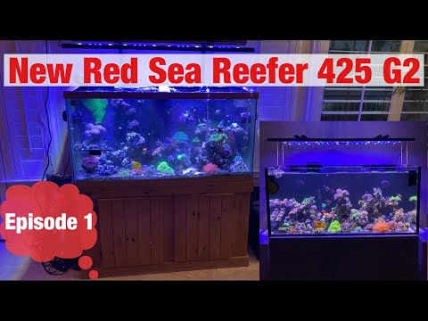 New Red Sea REEFER 425 G2 & My Current 100 Gallon Mixed Reef Tank (Episode 1)