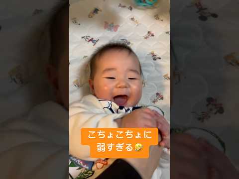 こちょこちょに弱いみなっち #赤ちゃん #babyboy #baby #ベイビー #こちょこちょ #くすぐり #かわいい #cute #生後7ヶ月 #babyboy #成長記録 #ミッキー