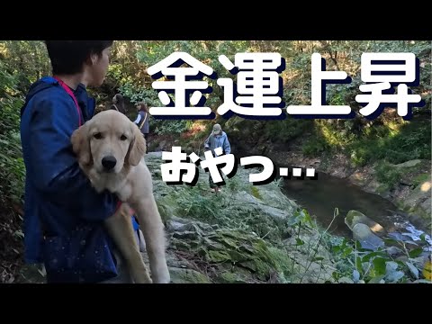 ゴルパピ会へ向けて熊本旅行の続き