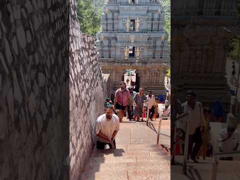 Tirupathi Tirumala 🥹🙏 #govinda #tirupti #tirumala #venkateswara #steps #divinejourney #shorts