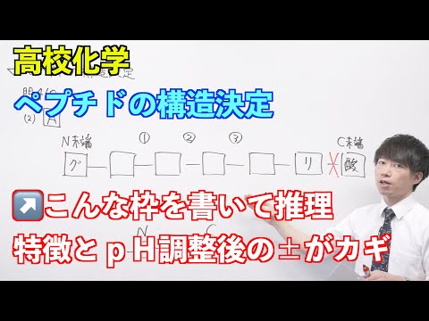 【高校化学】天然高分子⑪ 〜ペプチドの構造決定〜