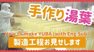 生湯葉（ゆば）の製造工程【職人技】How to make Yuba【Eng sub】