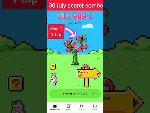 Tomarket secret combo | Tomarket mystery | Tomato secret | Tomarket airdrop