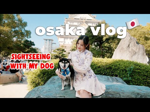 Last Days Sightseeing in Osaka 🇯🇵 Seeing my family, back to Tokyo 🚅 | Japan Travel Vlog