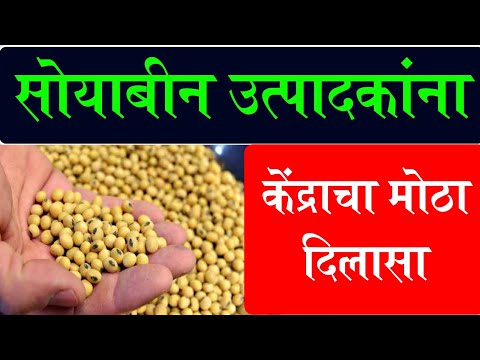 सोयाबीन उत्पादक शेतकऱ्यांना केंद्र शासनाचा मोठा दिलासा || Soybean MSP