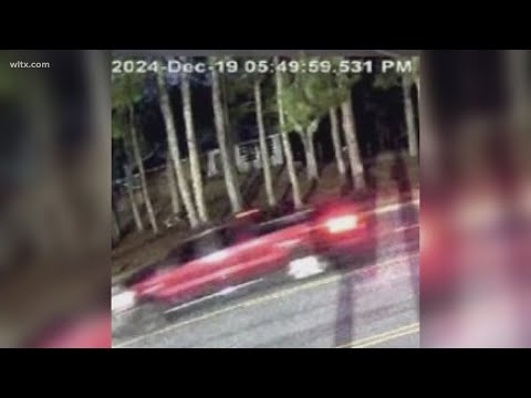 Photo of vehicle in fatal hit and run released