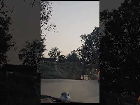 Jhirna Safari Zone Jim Corbett National Park  । झिरना सफारी जोन जिम कॉर्बेट नेशनल पार्क