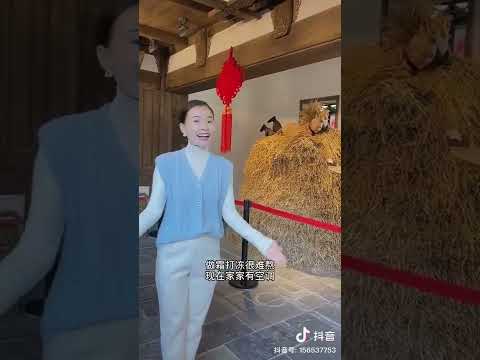 393 客家绕口令 (福建长汀客家话) Tongue twister in Hakka (Fujian Changting Hakka)