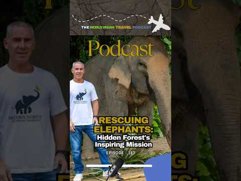 #podcastrelease  Dive into ethical elephant tourism & inspiring stories from Thailand. #elephants