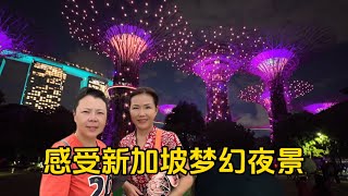 实拍新加坡擎天大树，夜晚灯光秀太梦幻了，宵夜吃当地鸡饭