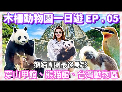 【台北景點】木柵動物園 EP.05 完結篇「穿山甲館」、「熊貓館」、「台灣動物區」（完整記錄）Taipei Zoo