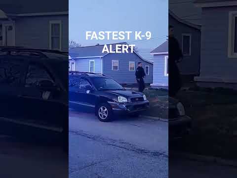 FASTEST K-9 ALERT FOR A REWARD RECORD THE POLICE DON'T LET THIS HAPPEN TO YOU