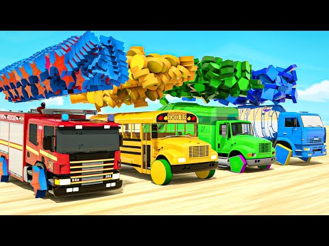 Bingo Song + The Wheels on The Bus, Baby cars and different shapes-Baby Nursery Rhymes & Kids Songs