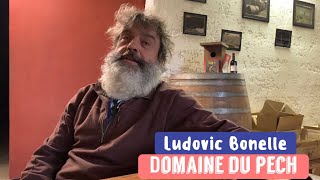 Vin Vivant #1 Domaine du pech: Comprendre quoi faire à la vigne pour ne pas intervenir à la cave