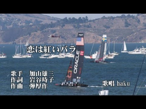 恋は紅いバラ　加山雄三　歌唱　haku