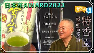 特香園「日本茶AWARD2023で日本茶大賞を受賞」美味しさの決め手は？｜MBC南日本放送