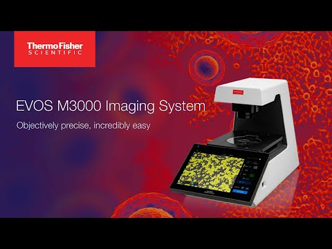 EVOS™ M3000 Imaging System from Thermo Scientific