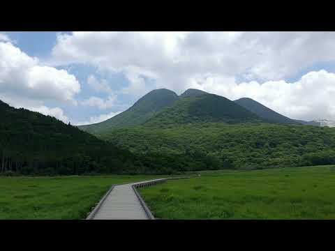 【癒し動画】大分県玖珠郡九重　#遊歩道　#阿蘇くじゅう国立公園　#くじゅう連山　#観光　#nature