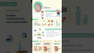 Kidney stones overview