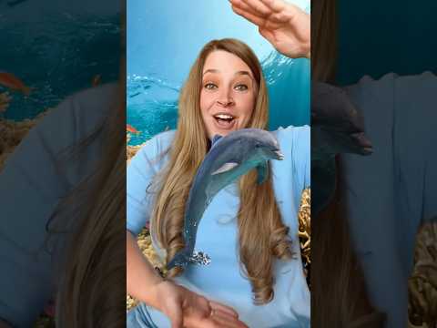 Ocean Animals 🐬 Opposites Song #kidssongs #kidslearning