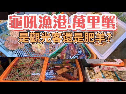 新北龜吼漁港趕大集｜花蟹大本營｜品嘗萬里蟹｜代客料理讓你體驗不同的吃法｜金山老街老店讓你體驗當店員