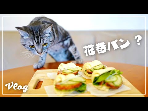 When I put roast pork in the steamed bread made by my wife, my cat looks like this [Vlog]