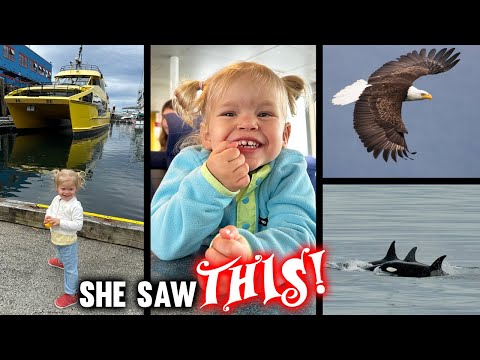 Up Close to Wild Orcas & Eagles in Prince Rupert, Canada