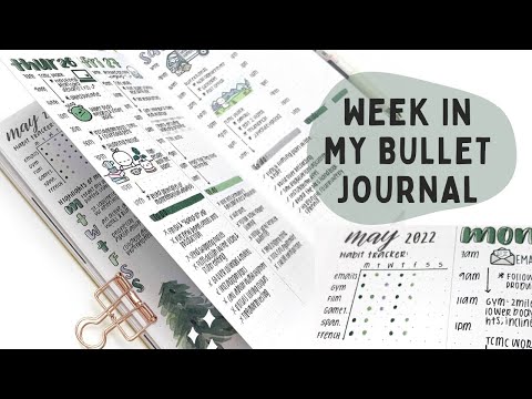 A Week In My Bullet Journal | Plan With Me (ft. Archer & Olive)