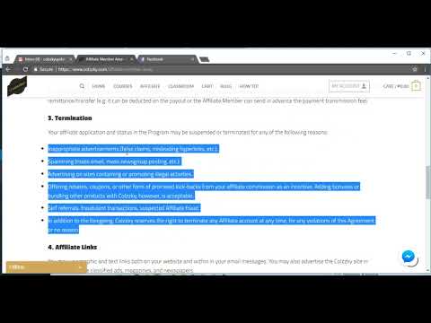 2 Affiliate Terms and Conditions