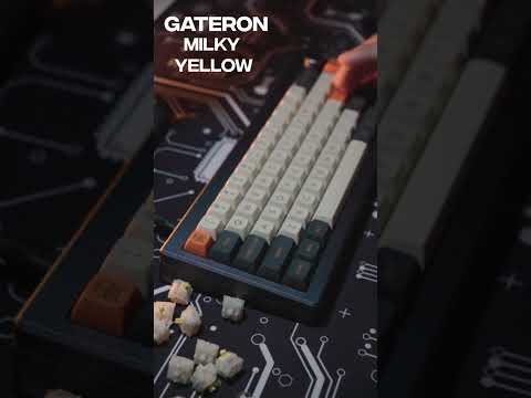 Gateron Milky Yellow #shorts #gateron #milkyyellow #thock