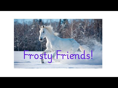 ❄️🐴 Frosty & Fluffy Friends: Dakota & Goose on a Chilly Day! 🐴❄️