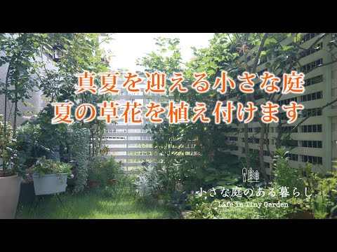 ガーデニング Vlog｜真夏を迎える小さな庭夏の草花を植え付けます｜ 〜小さな庭のある暮らし 166〜Gardening ｜ Life in a tiny garden