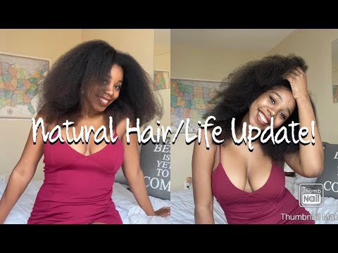 Natural Hair/Life Update! 8 YEARS Natural + Life As A Career Student