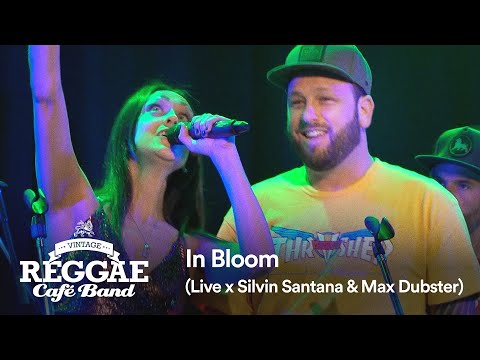 Vintage Reggae Café Band - In Bloom (Nirvana Cover)