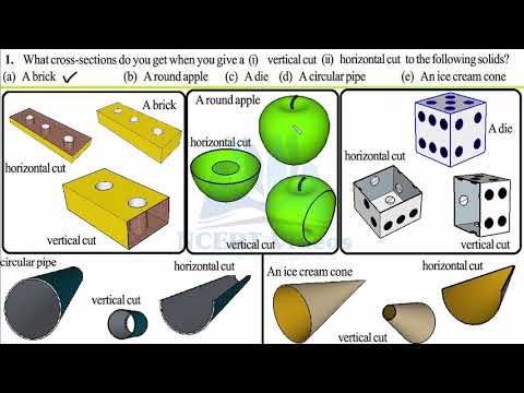 Visualising Solid Shapes 15.3