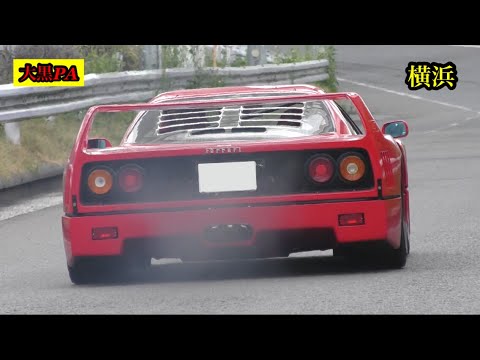 フェラーリF40加速サウンド他2022.5.8.日曜日の大黒PAに集まるスーパーカーを撮影！