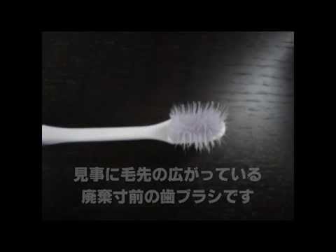 1分間の科学実験｢生活の裏技？ 使い古した歯ブラシを復活させる方法｣