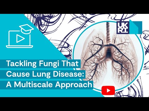 Tackling Fungi That Cause Lung Disease | A Multiscale Approach