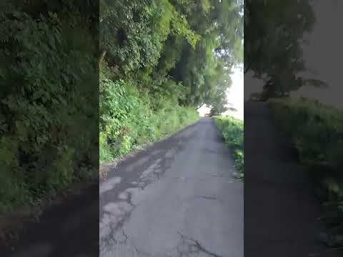 Walking of this morning VID 2023-08-24 063217672