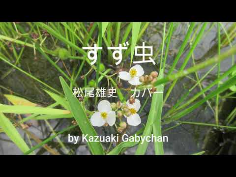 2018 すず虫 松尾雄史 カバー "Suzumushi, Bell Cricket" Yushi Matsuo, Covered by Kazuaki Gabychan