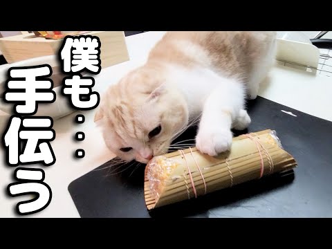 猫と一緒におせち料理を作ってたらこうなっちゃいました...