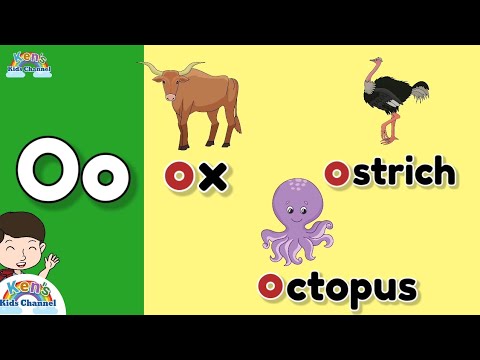 Letter Oo | Learn the letter Oo and its Sound |Objects Beginning with the Letter Oo