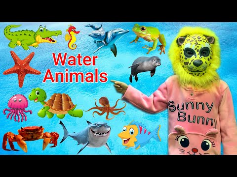 water animals for kids | sea animals for kids 🐬🐬🐬