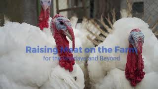 Backyard Poultry Magazine - October / November 2017