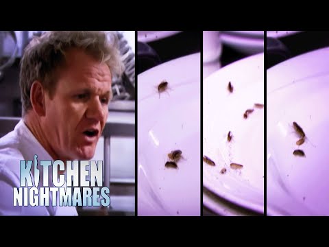 Cockroaches ON THE PLATES?! | S2 E10 | Full Episode | Kitchen Nightmares | Gordon Ramsay