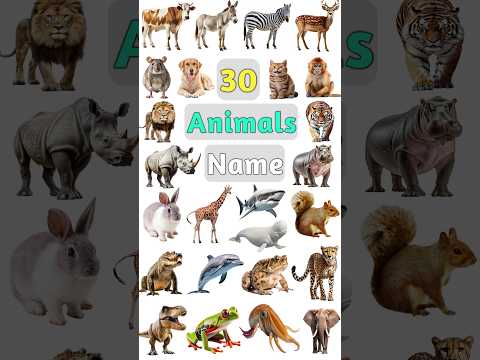 30 Animals Name : Part-1 #animalsname #animalname #animalnameforkids #animalnames #animalnamesforkid